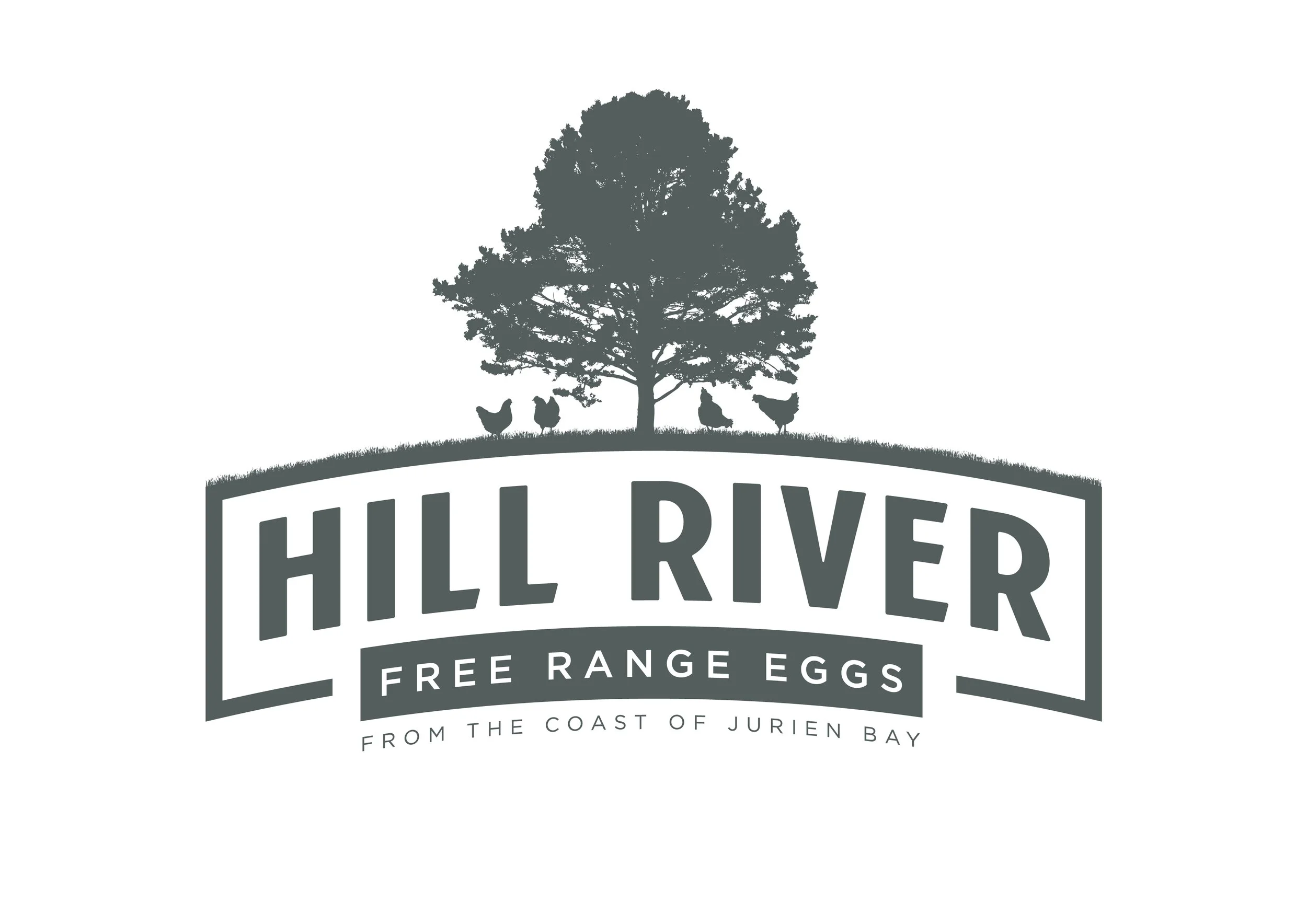 Hill River logosArtboard 5.jpg