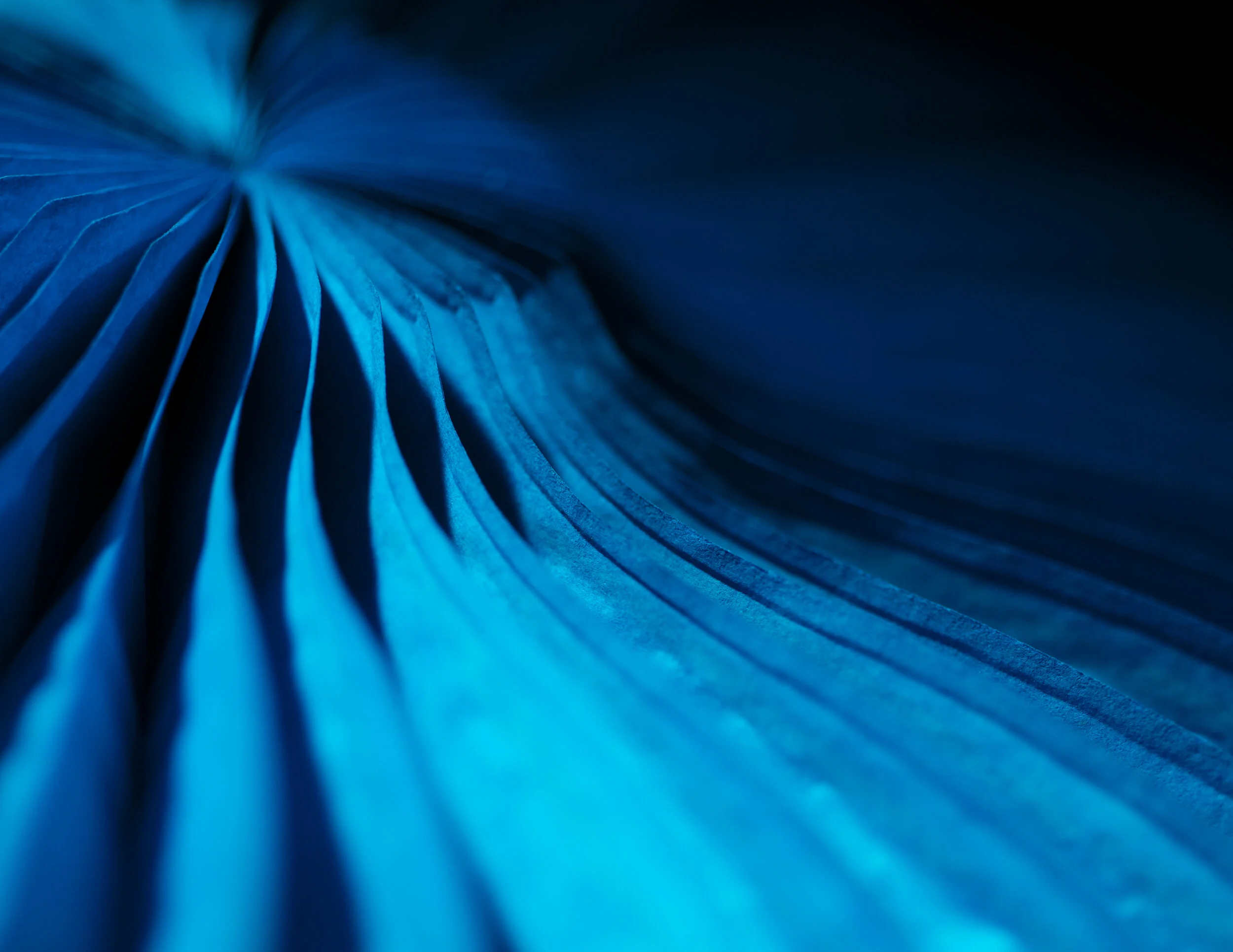Lighting- Paper-031 Hr_Lr.jpg