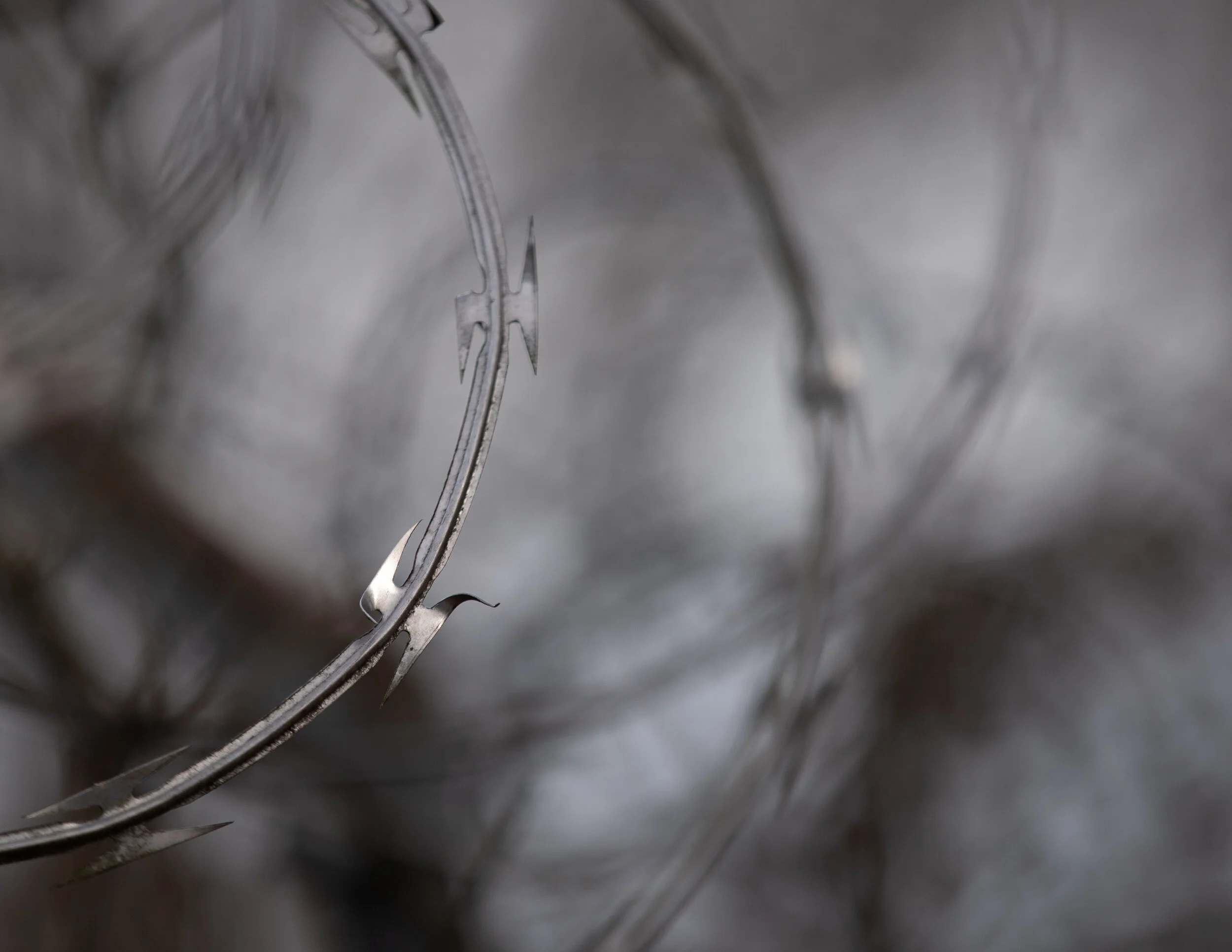 untitled shoot-097_Lr.jpg