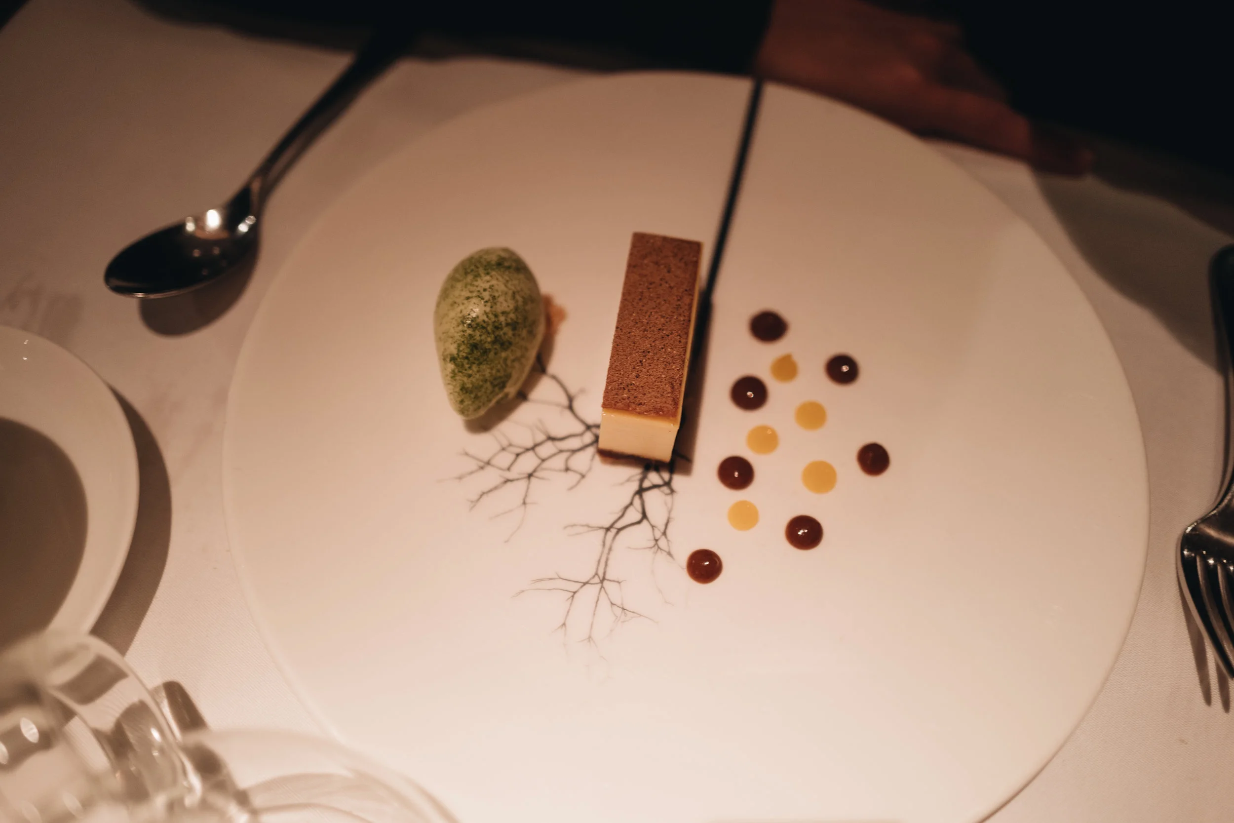 Vegetarian Dessert, ice cream & cheesecake. (蛋奶素)雪糕配芝士蛋糕