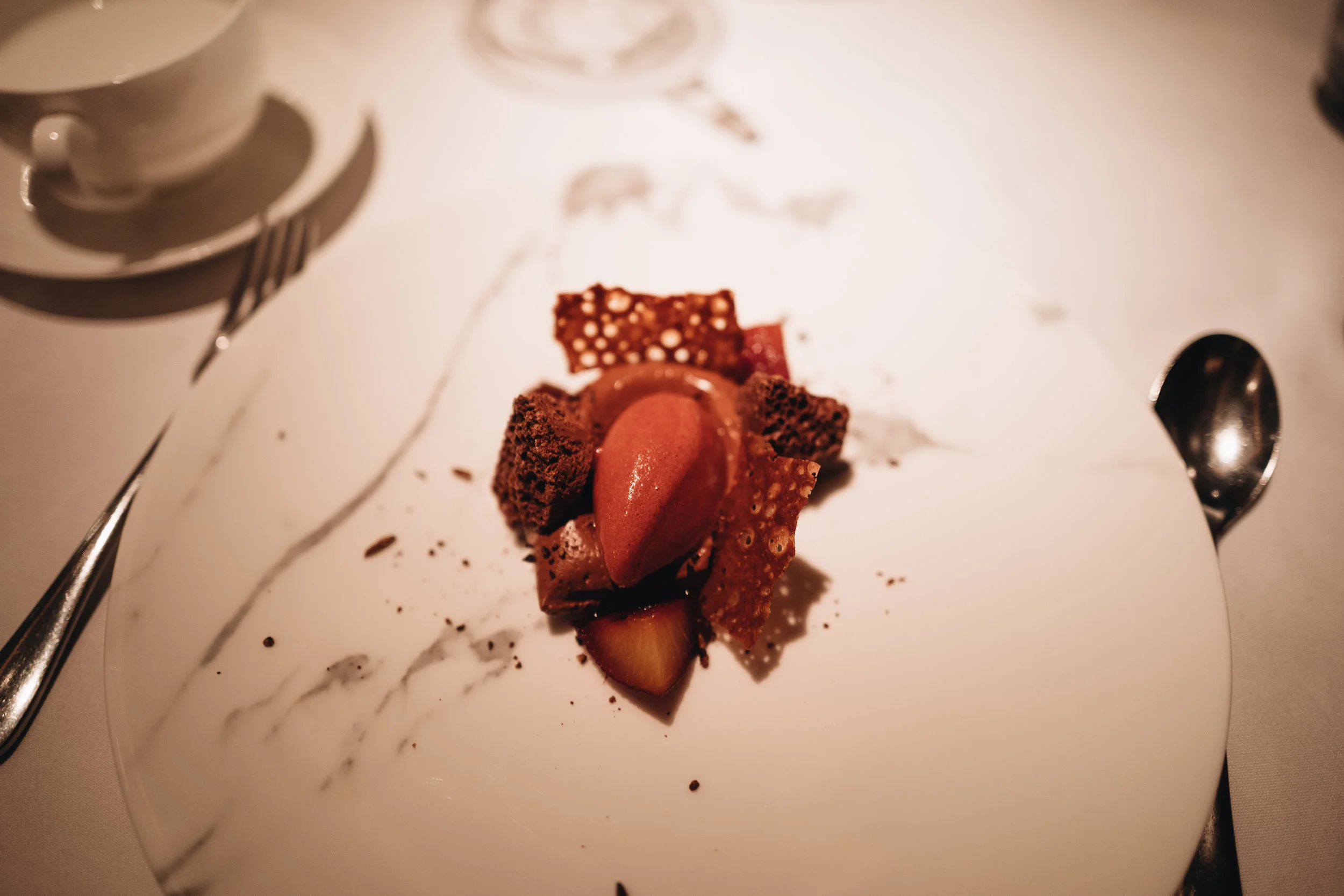 Vegan chocolate Soya Sorbet. (純素)朱古力豆奶雪糕