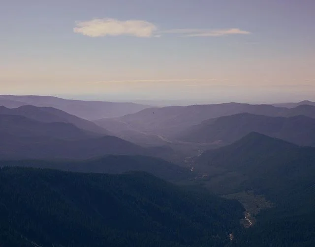 I&rsquo;ve given into my love of the outdoors this year.