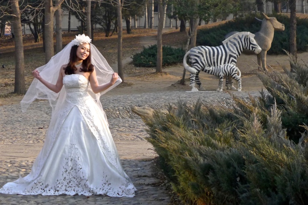 Wedding photo, World Park, Fengtai