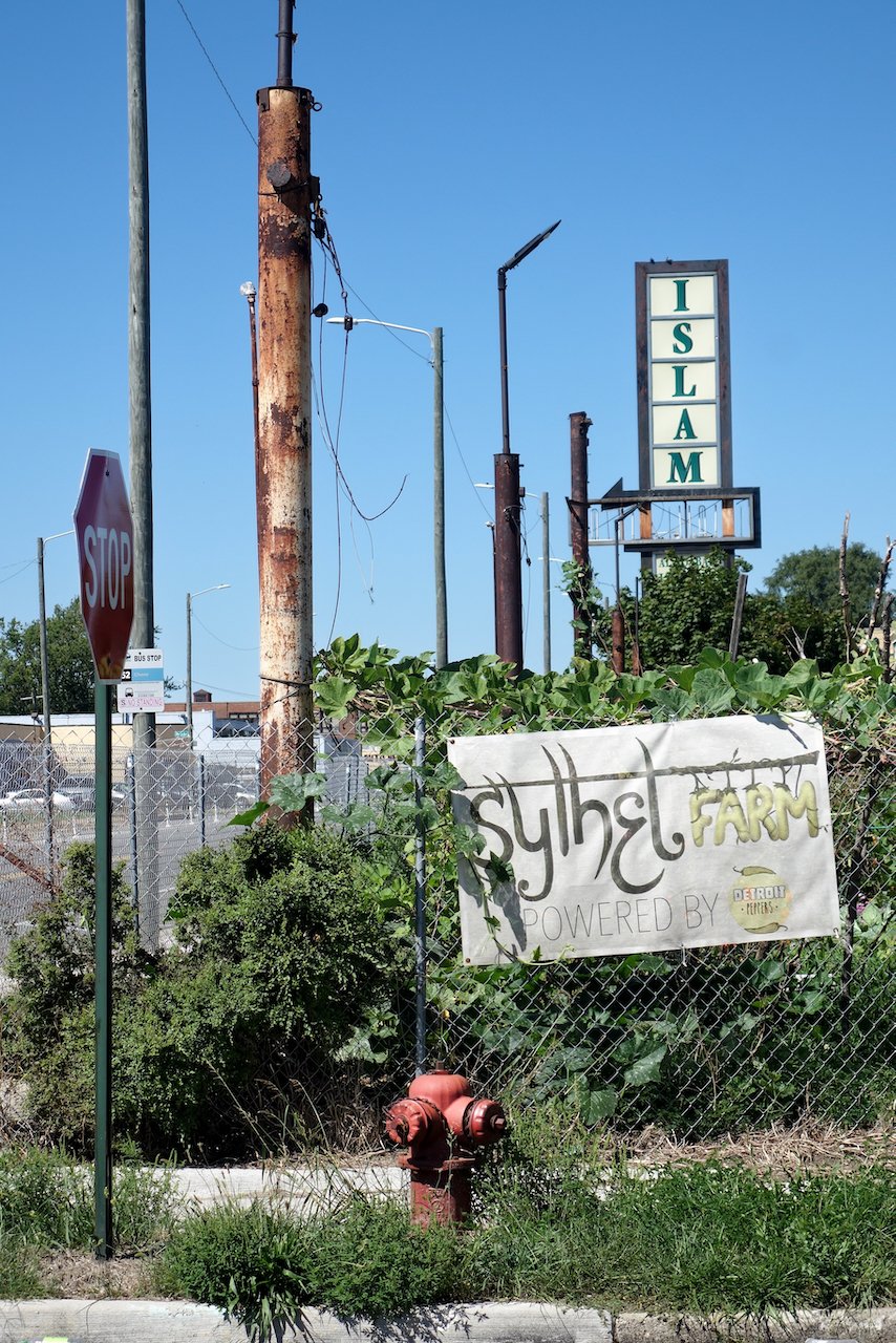 Northern edge of Hamtramck