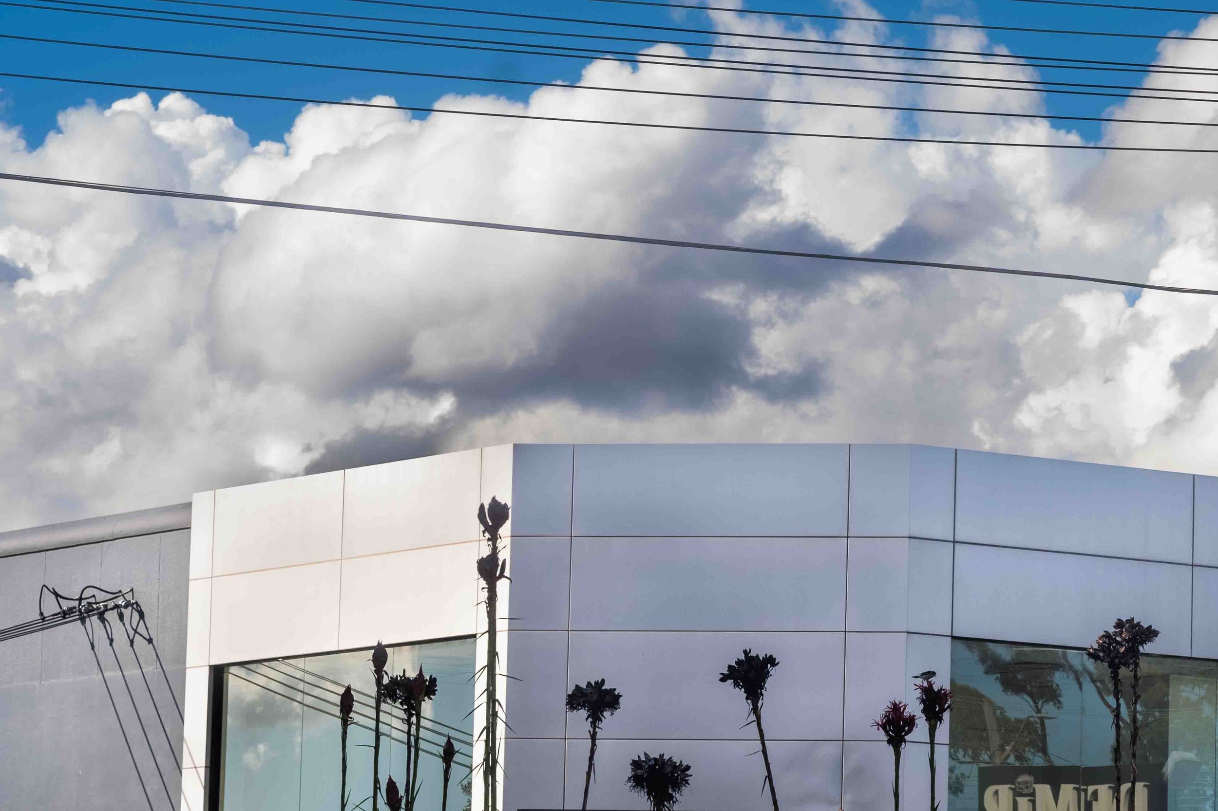 Furniture store, Auburn