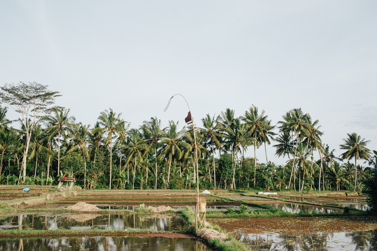 BALI 2015-1402.jpg