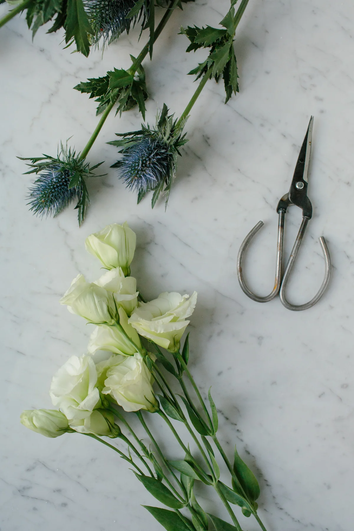 FLOWERS-8319.jpg