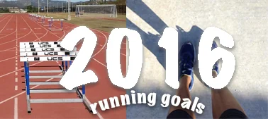 2016goalsr.jpg