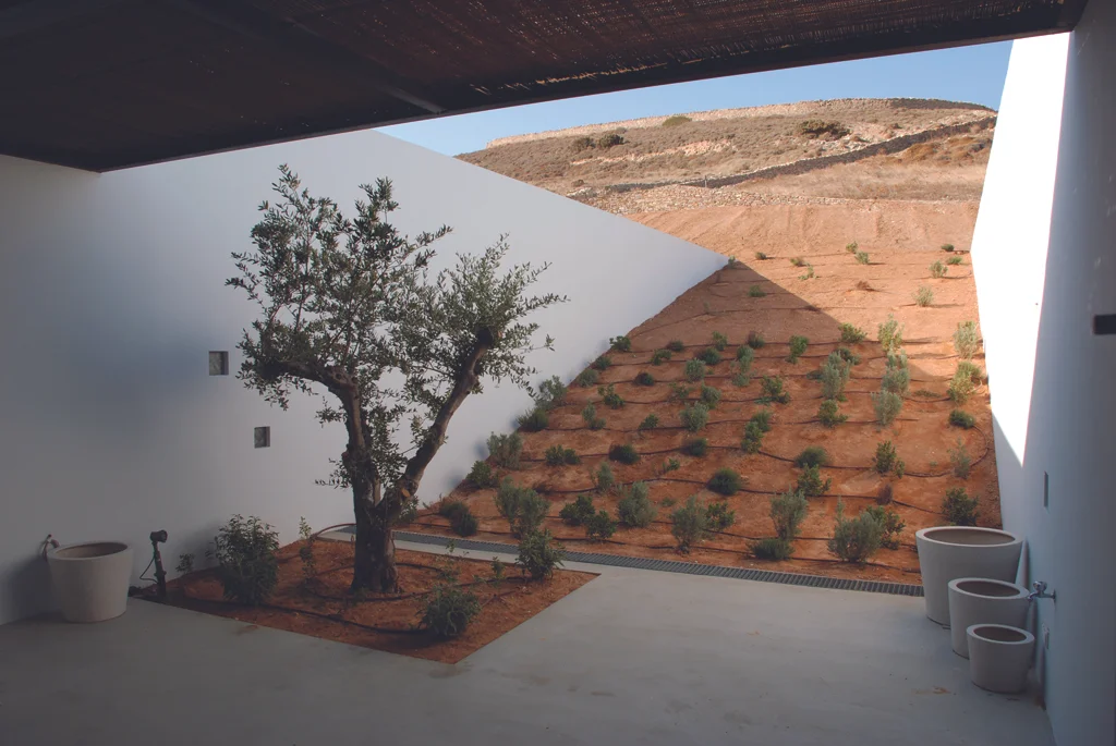 Aloni_South courtyard_b.jpg