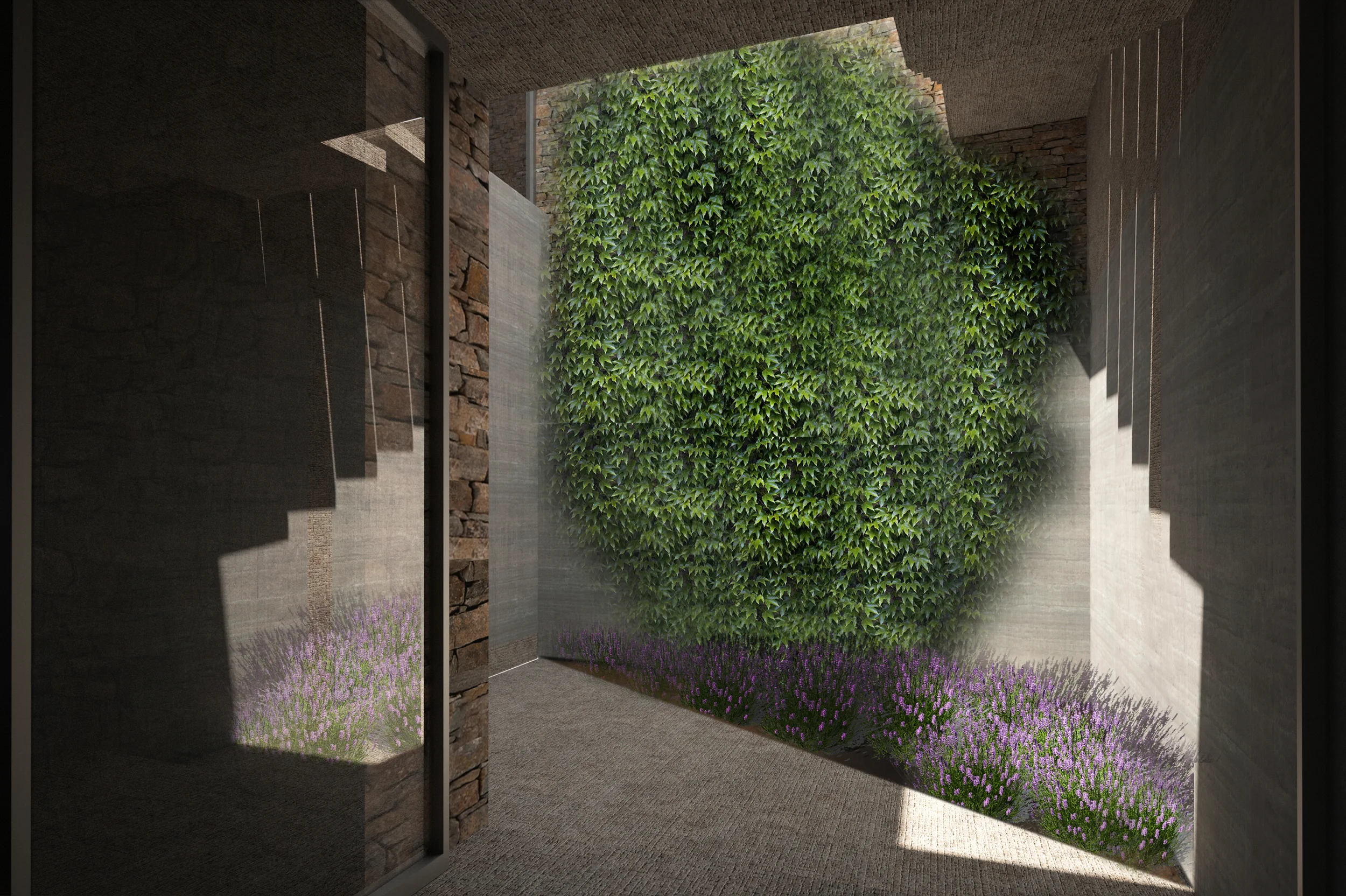 View From Guest Room