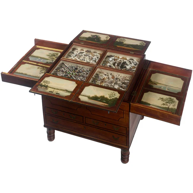 collector's chest.jpg