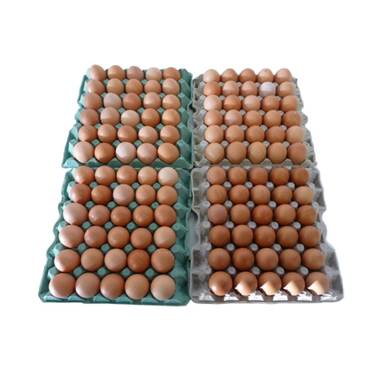 cartridge conservatory.jpg