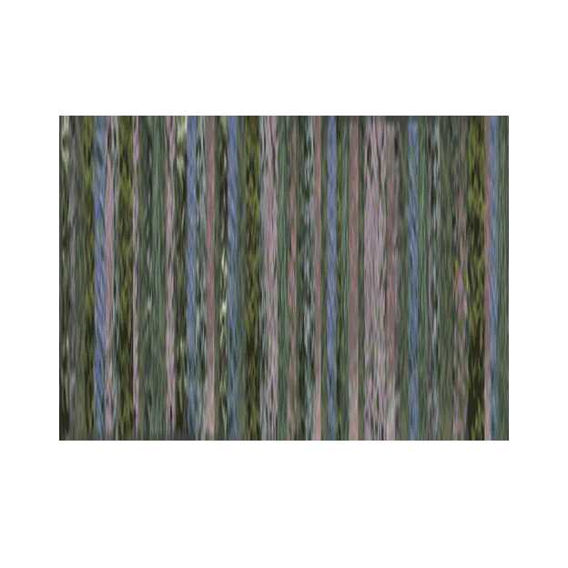 sicily-sequence-III.gif