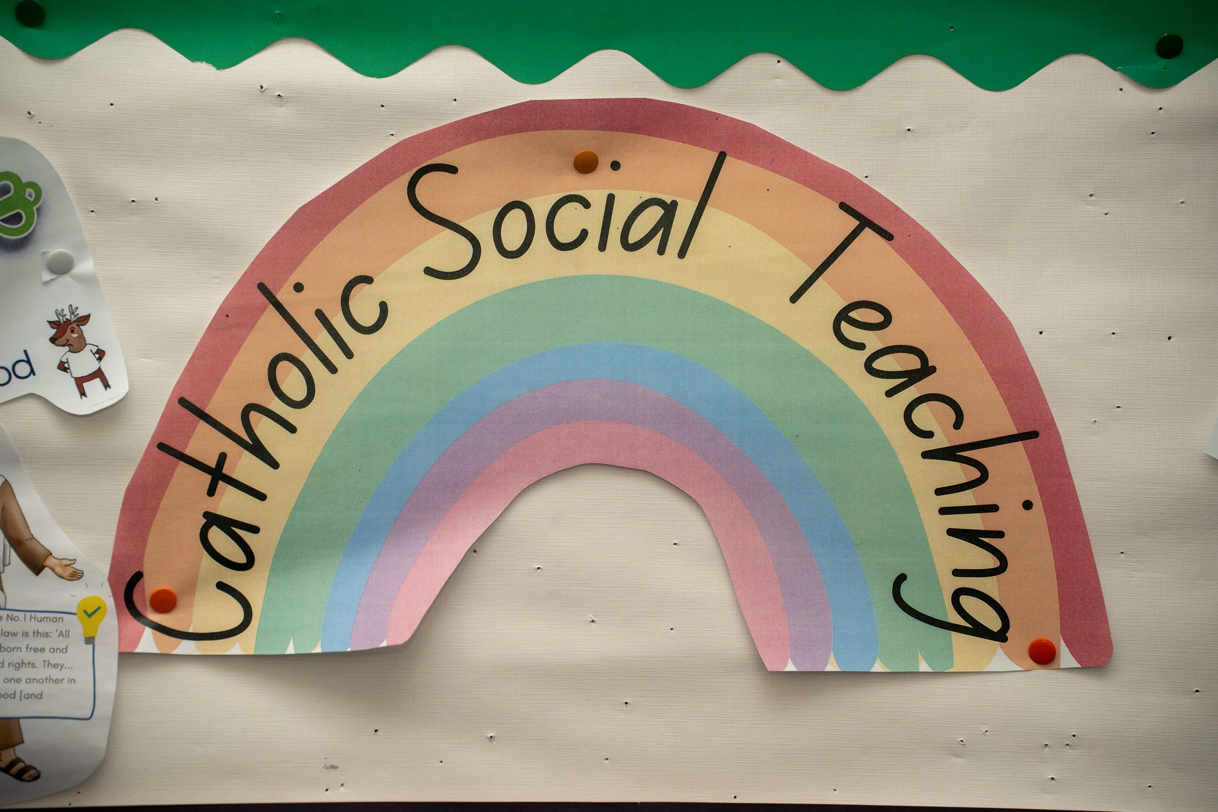 PSHE / RSE long term plan