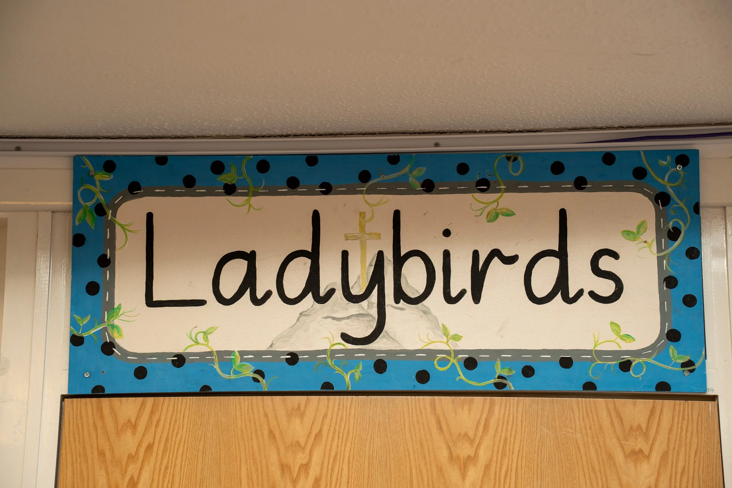 F2 - Ladybirds