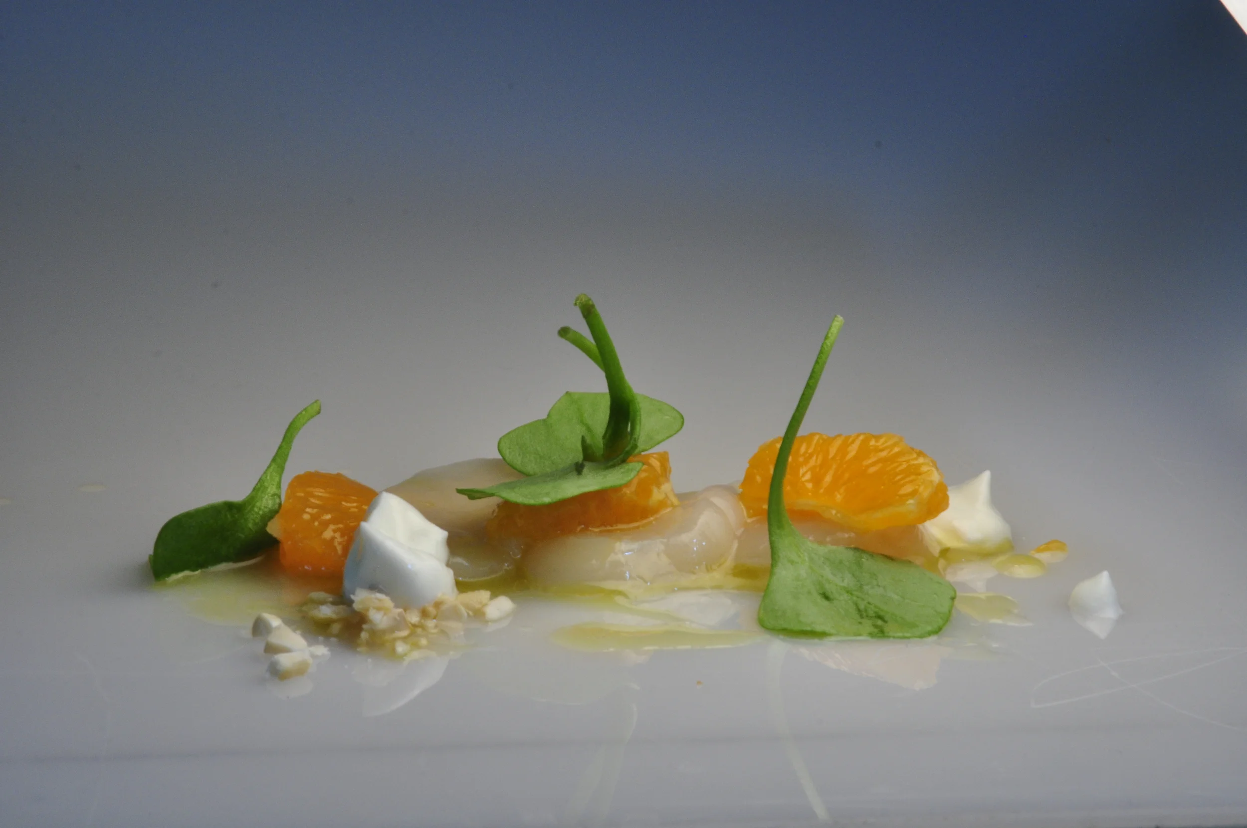 digi atelier 047.JPG