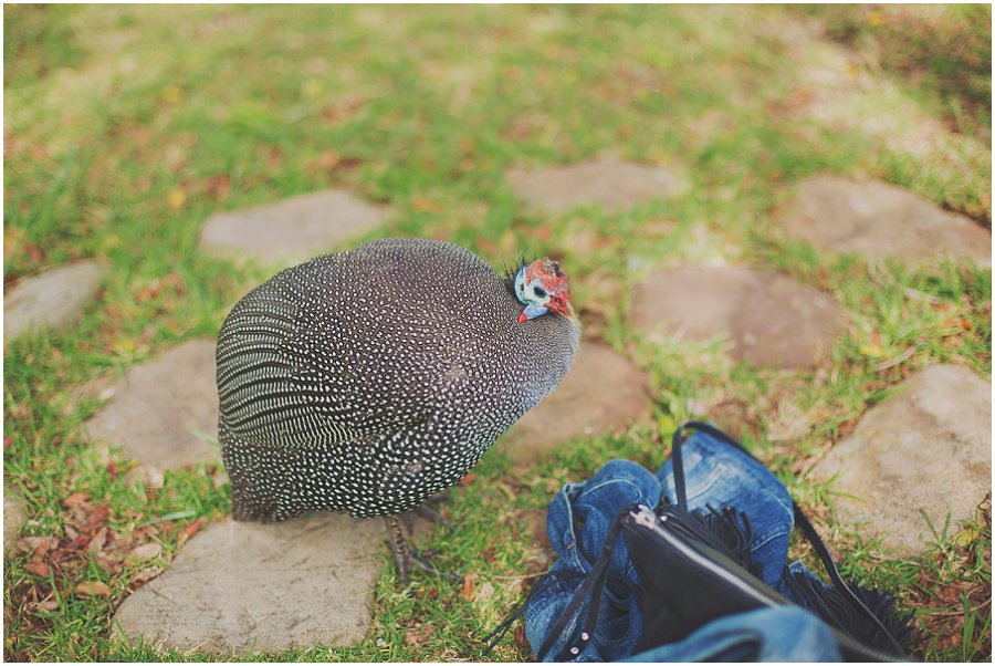 Kirstenbosch engagement photographer (18).jpg