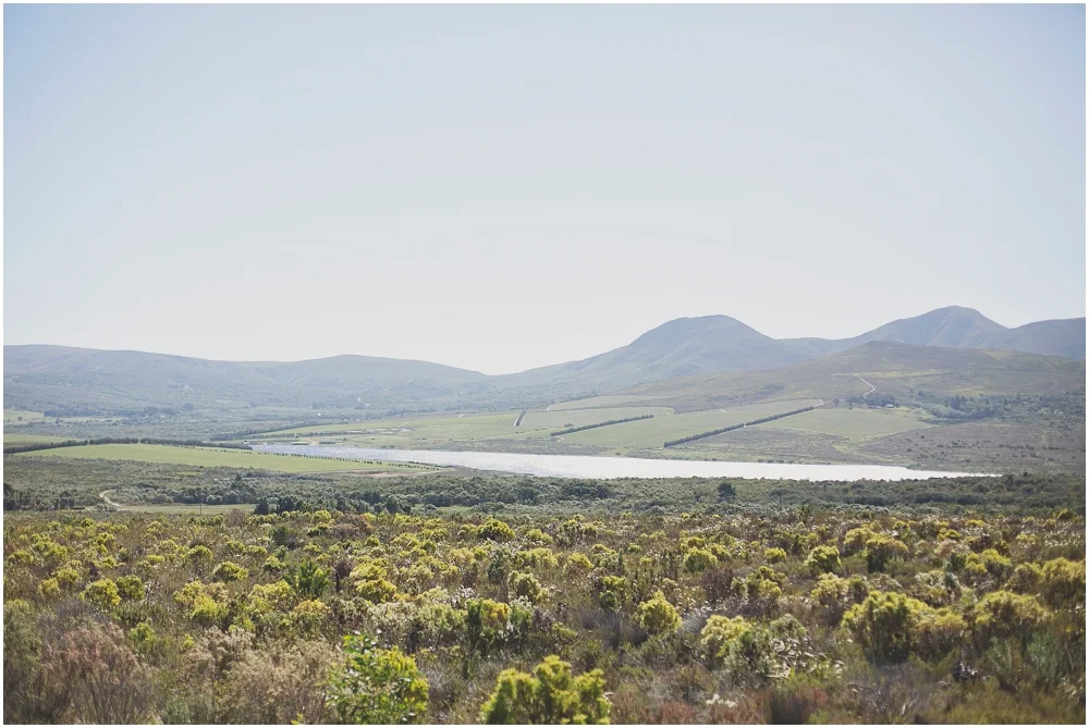 Ronel Kruger Photography_5752.jpg