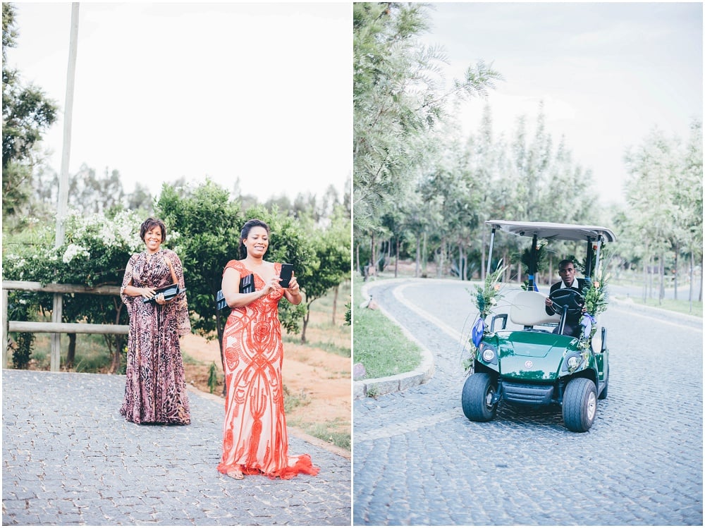 Ronel Kruger Cape Town Wedding and Lifestyle Photographer_2562.jpg