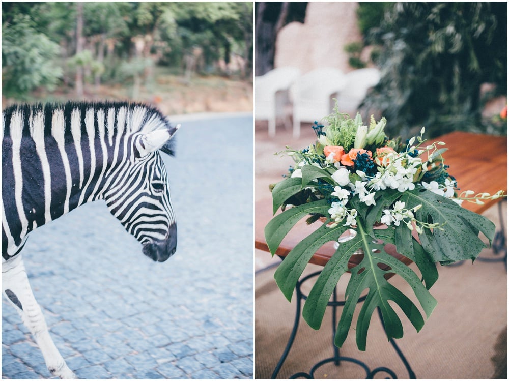 Ronel Kruger Cape Town Wedding and Lifestyle Photographer_2563.jpg