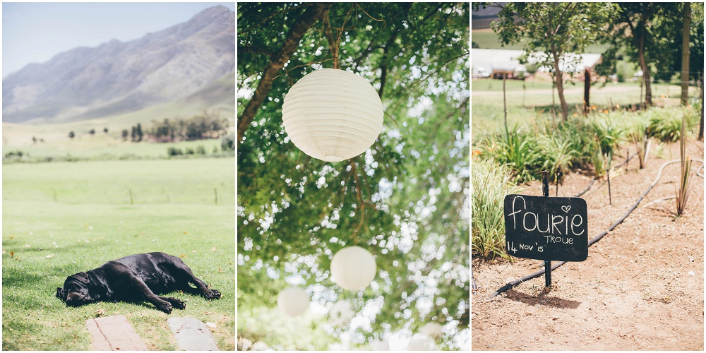 Ronel Kruger Cape Town Wedding and Lifestyle Photographer_2725.jpg