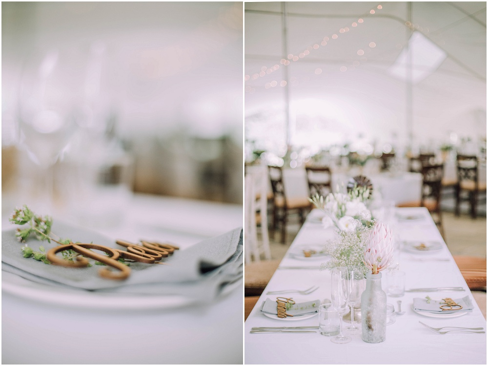 Ronel Kruger Cape Town Wedding and Lifestyle Photographer_5364.jpg