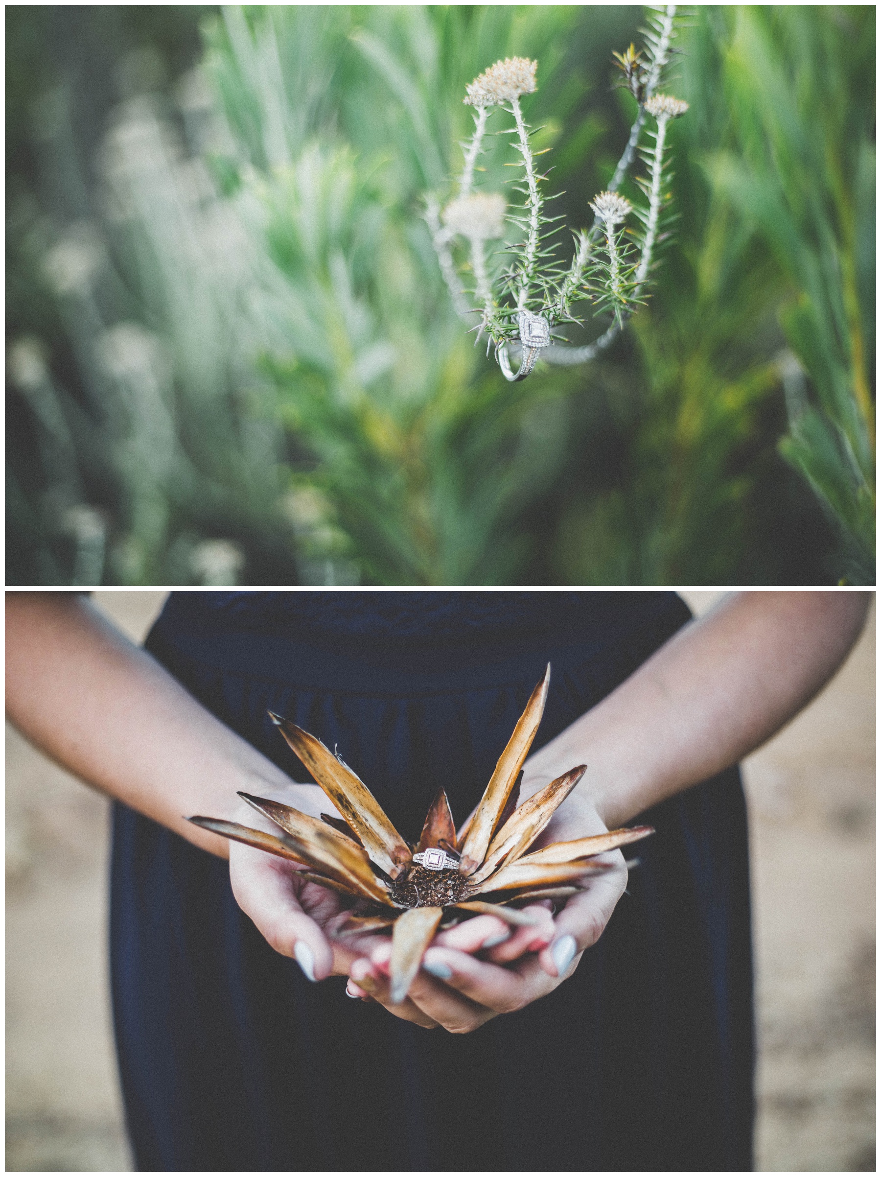 Ronel Kruger Cape Town Wedding and Lifestyle Photographer_0319.jpg