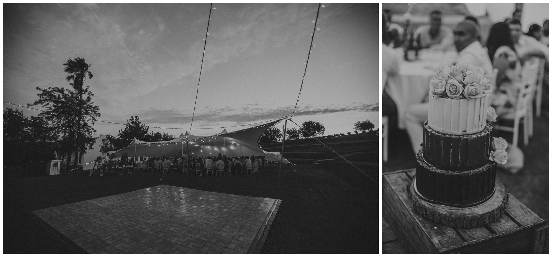 Ronel Kruger Cape Town Wedding and Lifestyle Photographer_1377.jpg