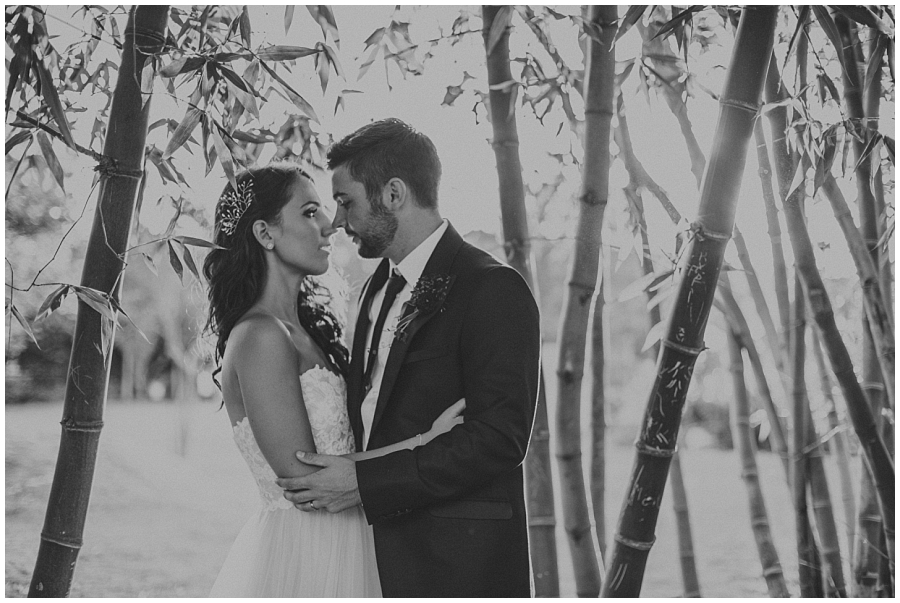 Ronel Kruger Cape Town Wedding and Lifestyle Photographer_6611.jpg