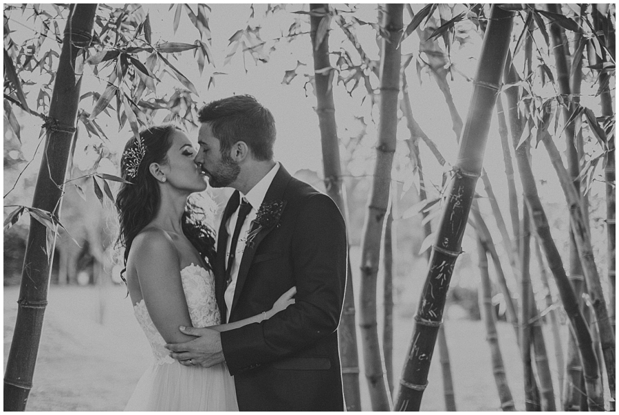 Ronel Kruger Cape Town Wedding and Lifestyle Photographer_6612.jpg