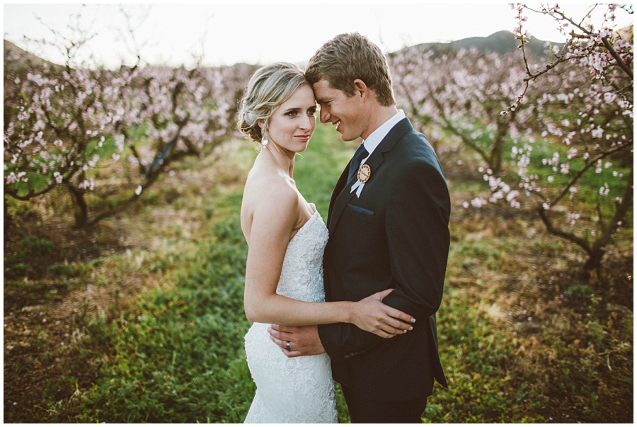 Ronel Kruger Cape Town Wedding and Lifestyle Photographer_6069.jpg