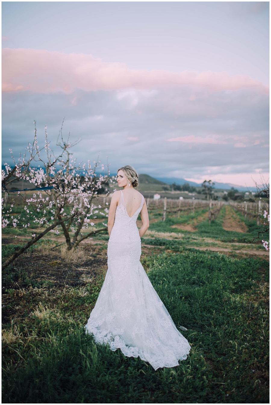 Ronel Kruger Cape Town Wedding and Lifestyle Photographer_6078.jpg