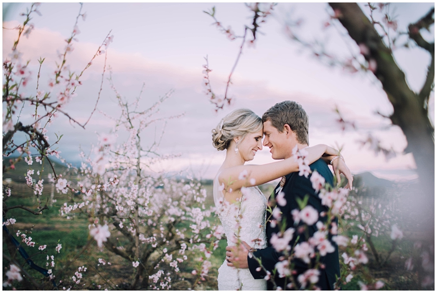 Ronel Kruger Cape Town Wedding and Lifestyle Photographer_6080.jpg