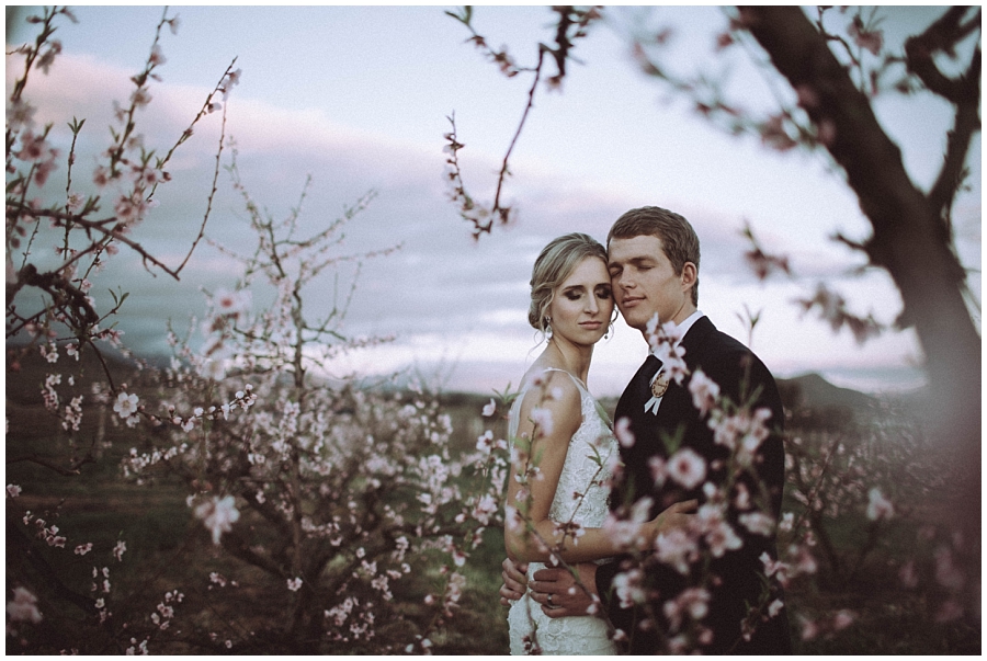 Ronel Kruger Cape Town Wedding and Lifestyle Photographer_6081.jpg