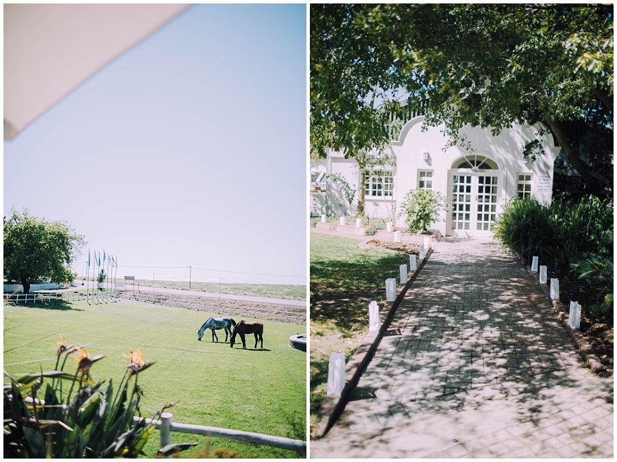 Ronel Kruger Cape Town Wedding and Lifestyle Photographer_8529.jpg