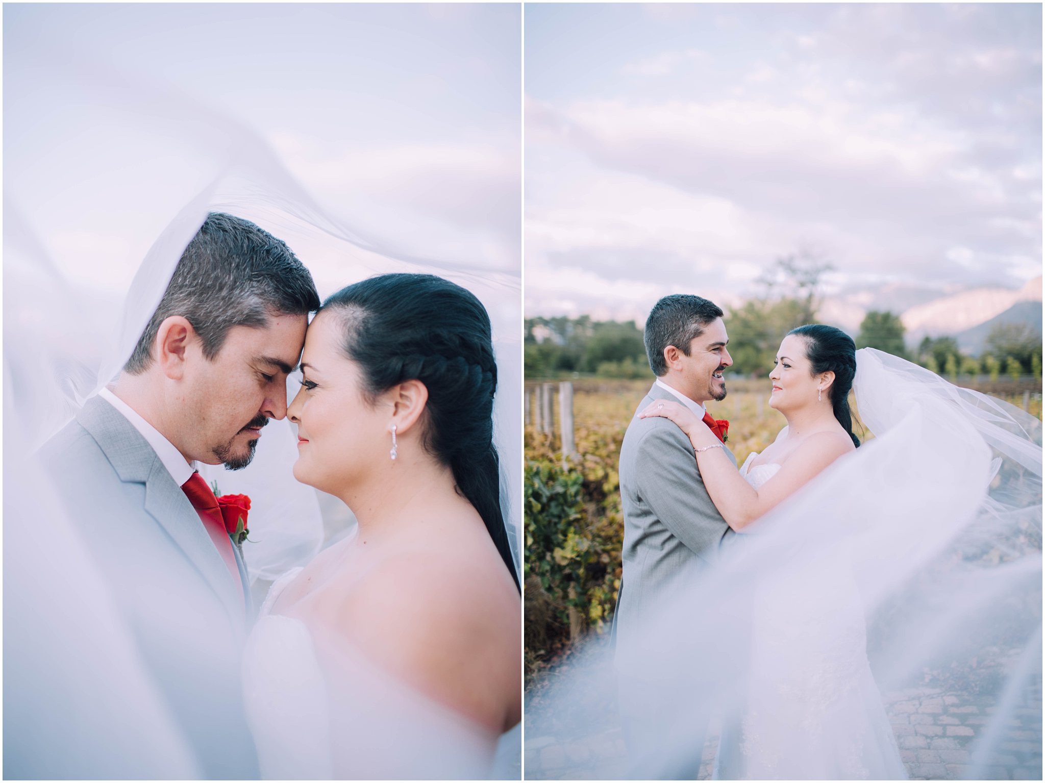 Ronel Kruger Cape Town Wedding and Lifestyle Photographer_2645.jpg