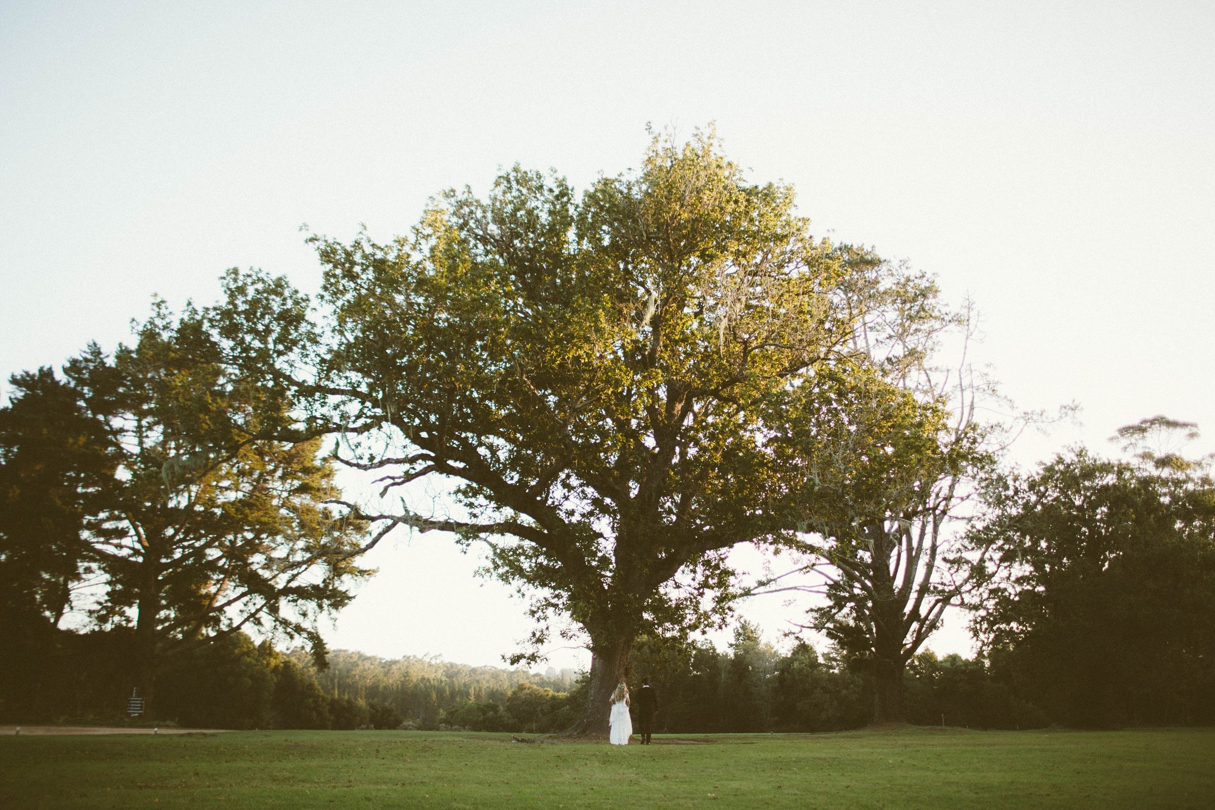 Wedding_Photography_Hunters Country House Plettenbergbay_Rue Kruger_Nathalie _Jaques_5 (12).jpg