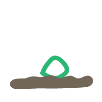 Dorotas Sprouts-05.png