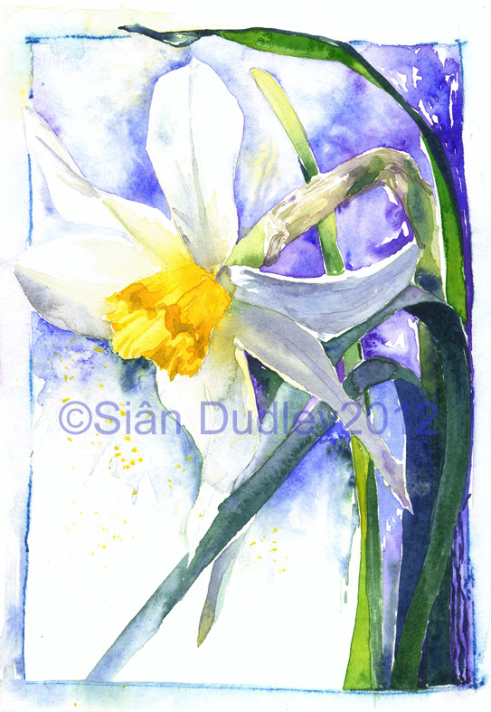 Dancing Daffodil