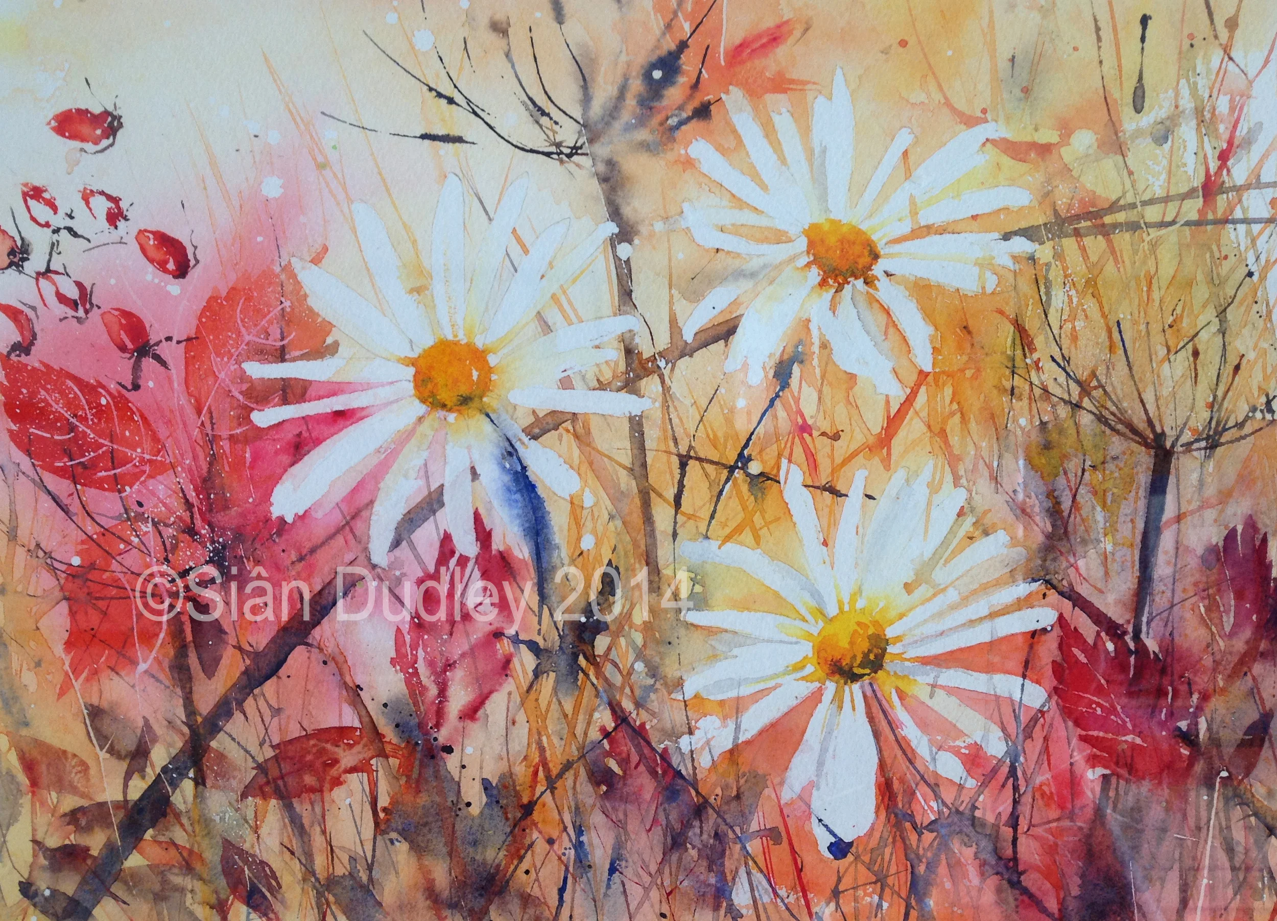CSianAutumn-Daisies.jpg