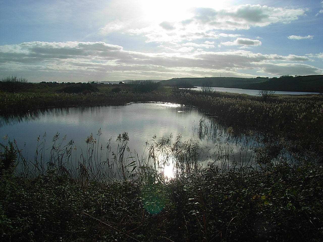 The Ley at Slapton, Devon, early evening. (© Rob Dudley)