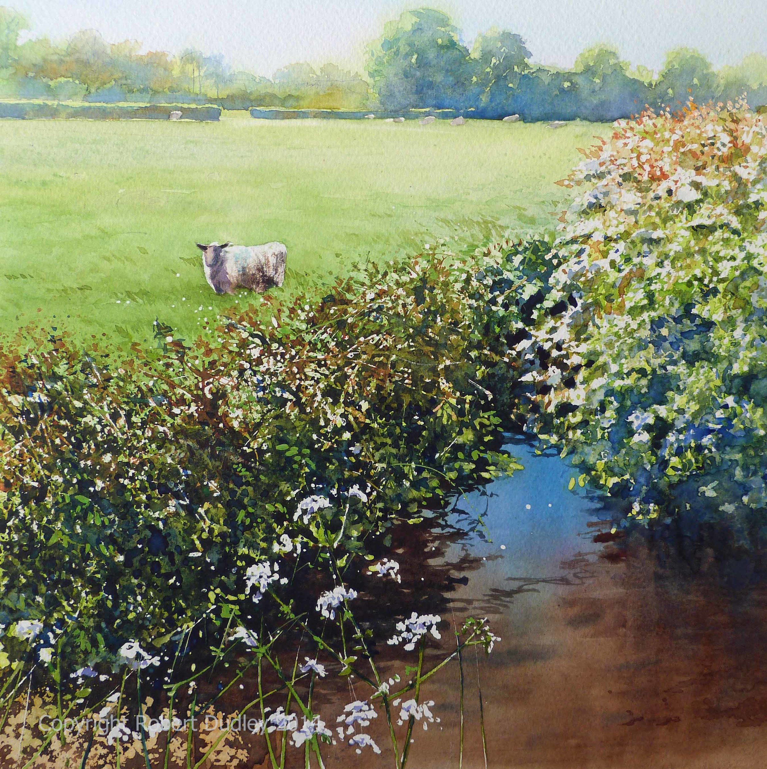 Where Sheep May Safely Gaze Watercolour 22'' x 22'' £595 through Davidson Fine Art Totnes 