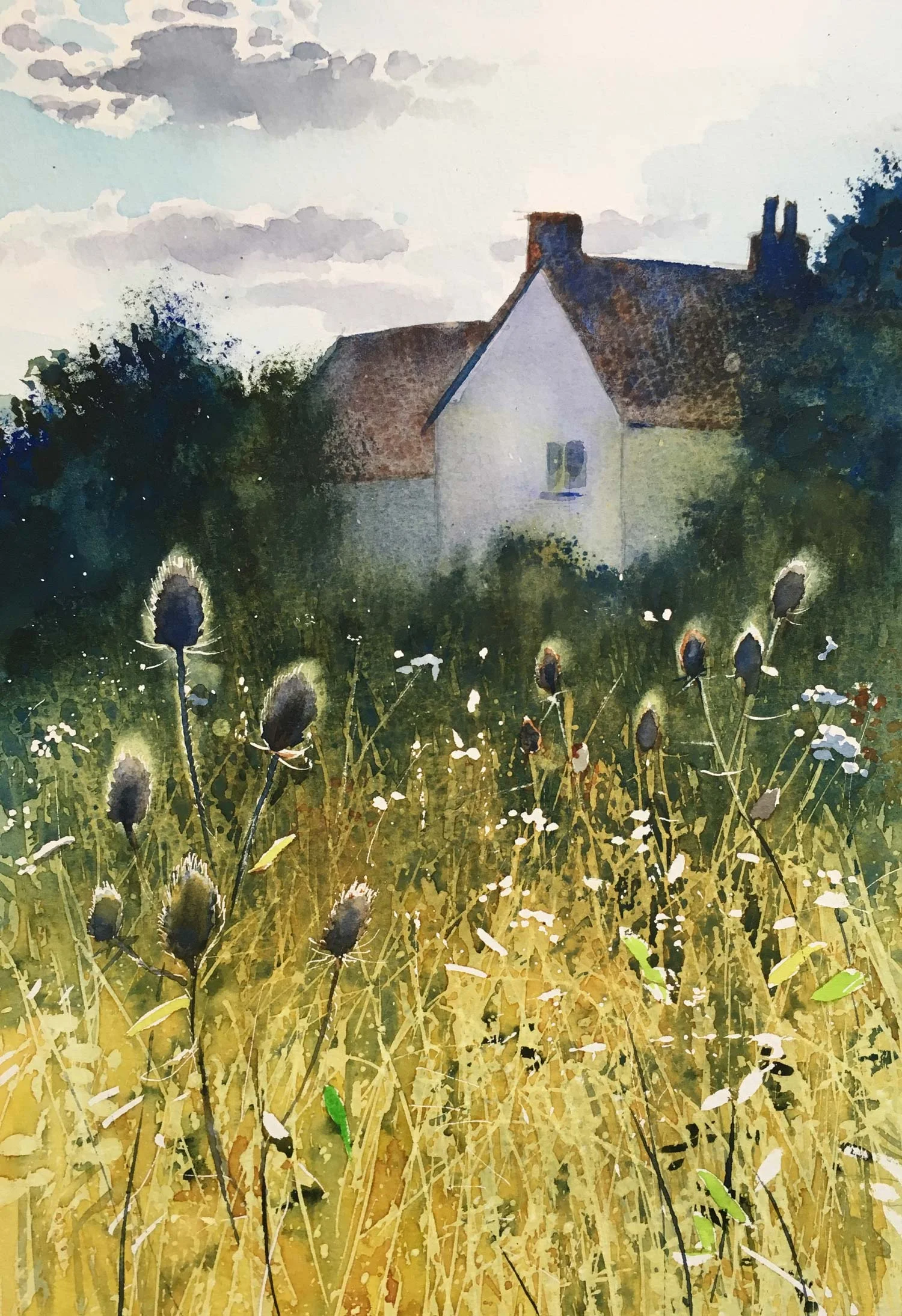 Teasels-at-Flatford.jpg