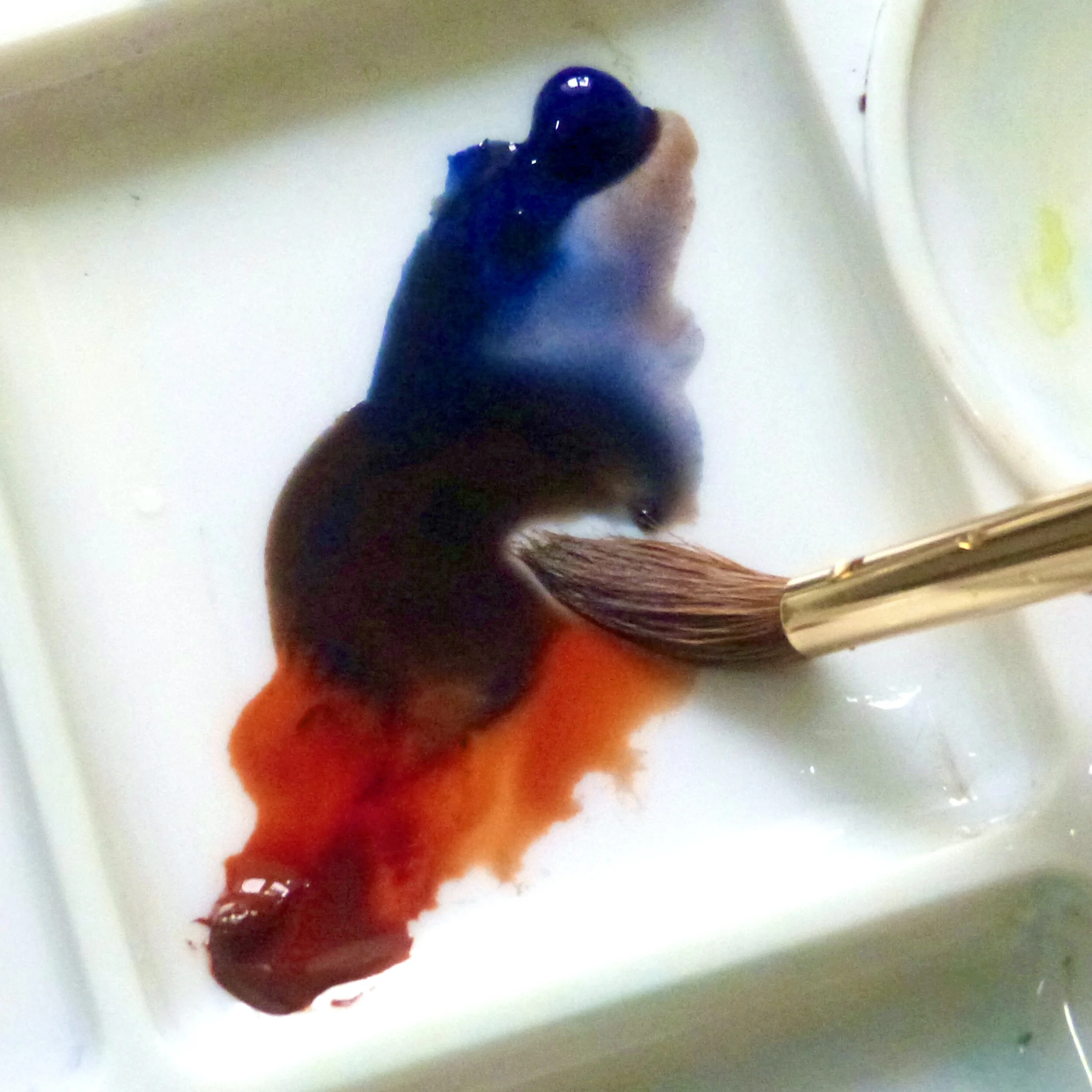 Watercolour Materials for Beginners