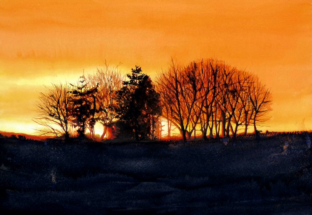 Treeline at Sunset