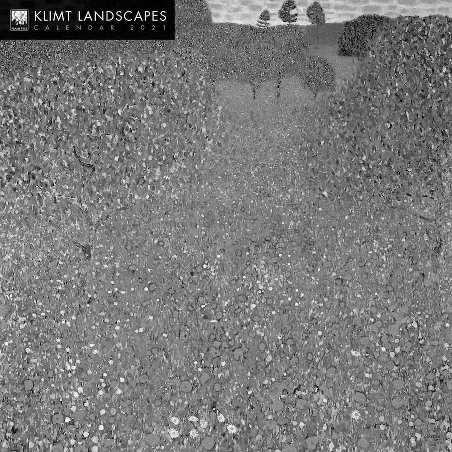 Klimt popies B&W2.JPG