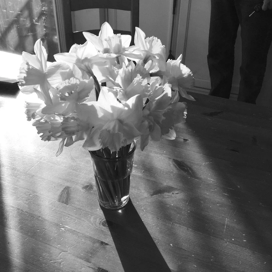DaffodilsvaseB&W.JPG