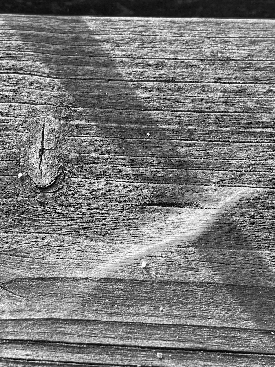 RainbowB&W2.jpeg