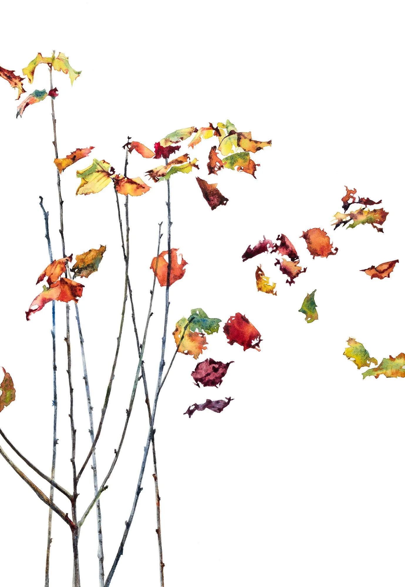 Flyaway Leaves