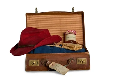 suitcase1.jpg